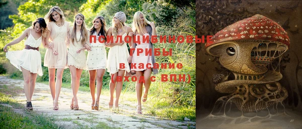 хмурый Новокубанск