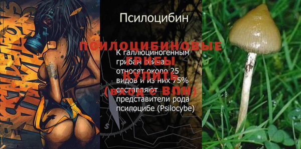 хмурый Новокубанск