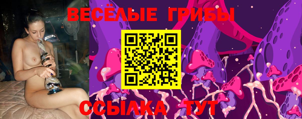 Псилоцибиновые грибы мицелий Костомукша