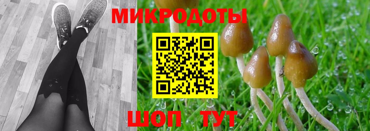 Псилоцибиновые грибы Cubensis  Псилоцибиновые грибы ЛСД  Костомукша  Вход с VPN 